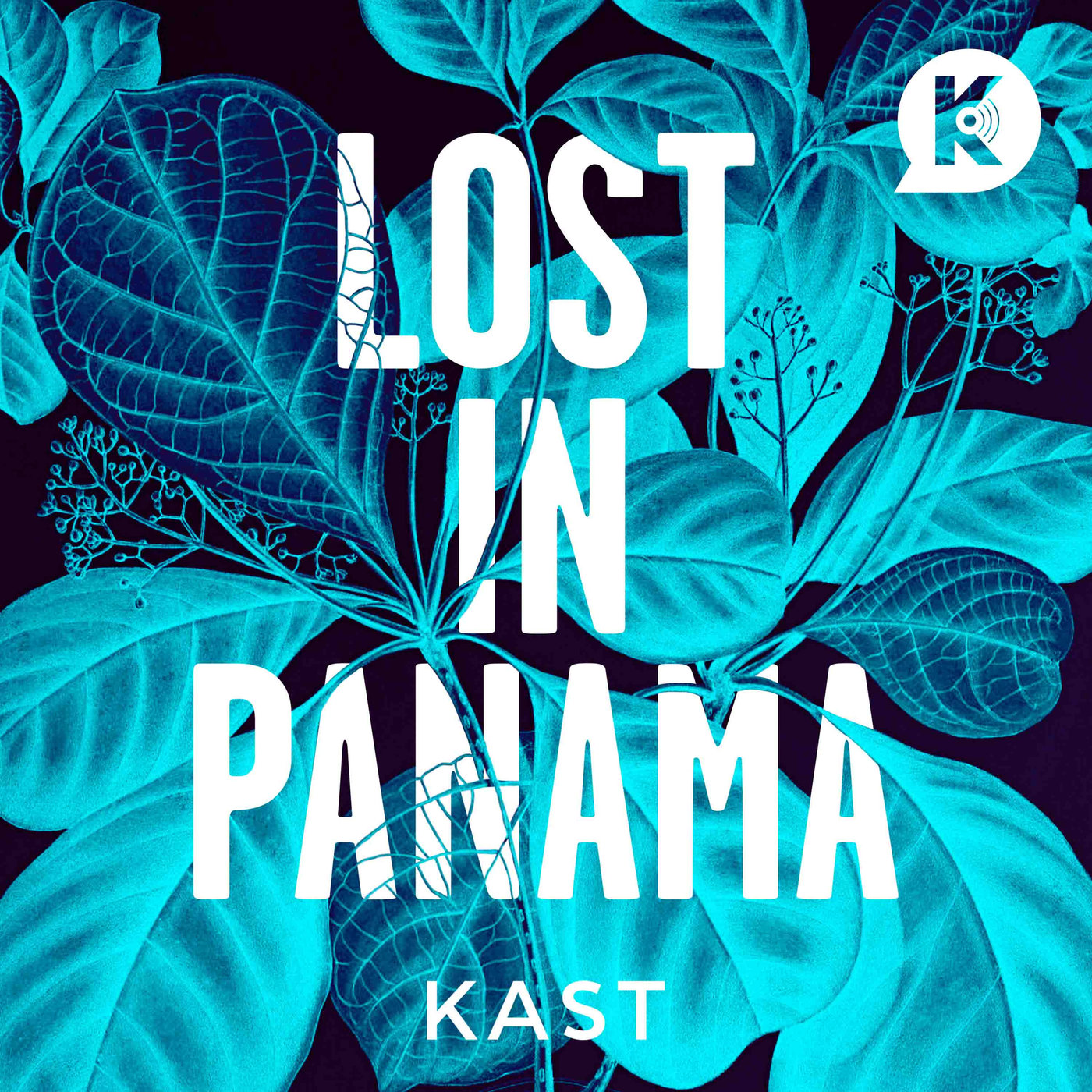 lost_in_panama